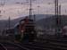 1548-364531-103235-20011216